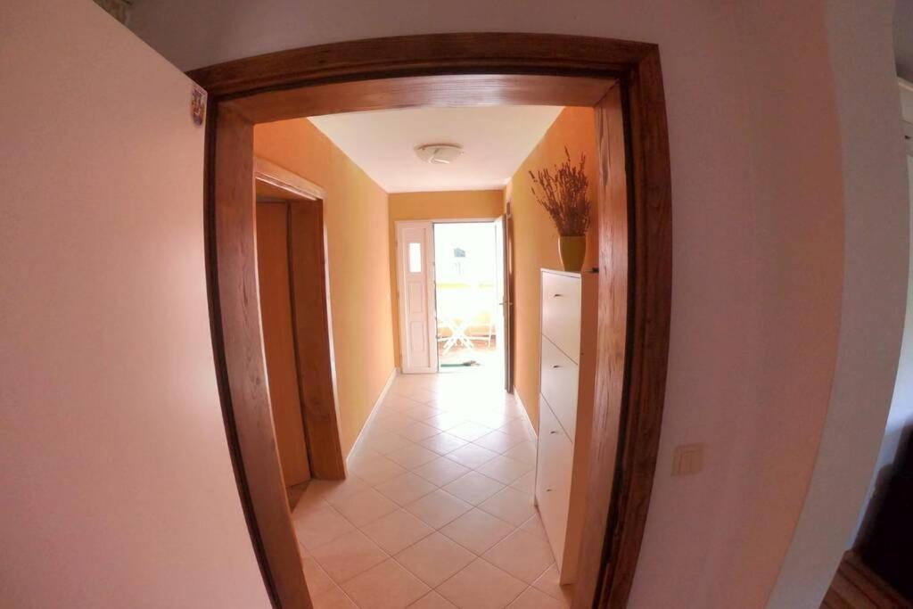 Comfortable Apartment Near Pula Marčana エクステリア 写真